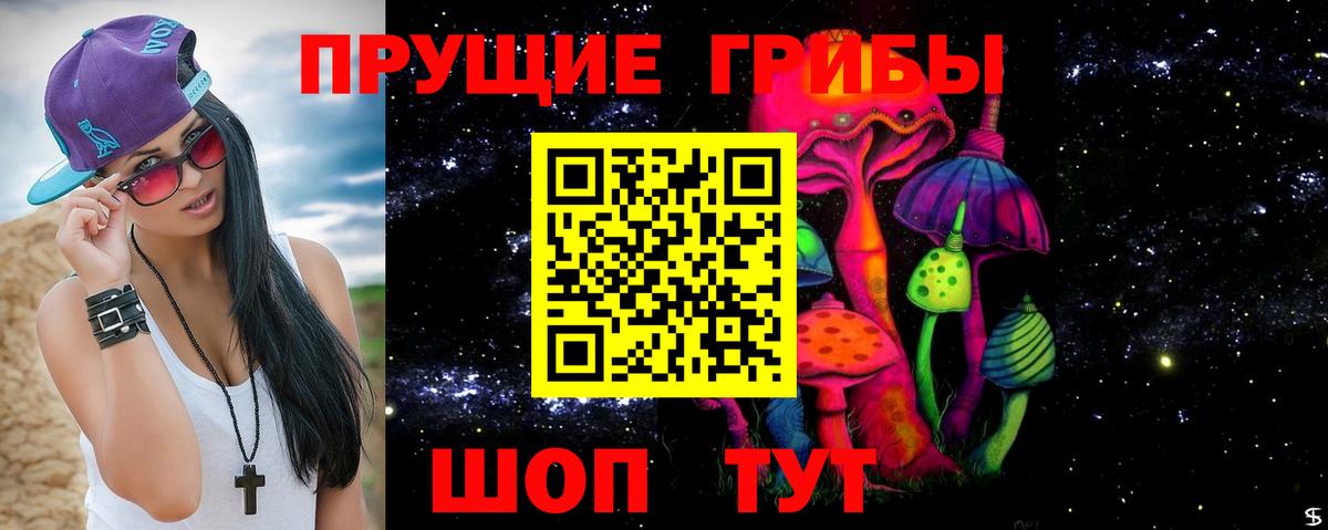 Псилоцибиновые грибы Psilocybine cubensis Звенигород