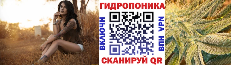 Конопля VHQ  где купить   Звенигород 